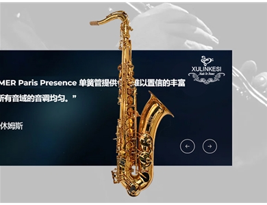 次中音电泳金萨克斯